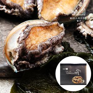[웰굿]완도 활 전복 최고급 선물세트 2호(1kg,17-18마리,중)