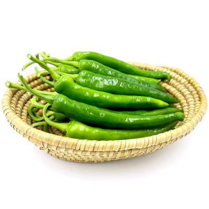 산정마을 국내산 오이고추 1kg