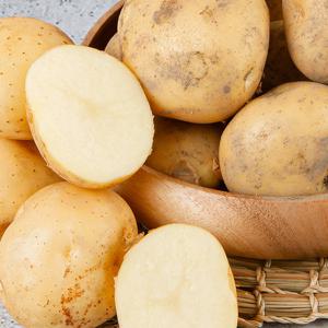 국내산 포슬포슬 수미감자 특품 5kg/햇감자