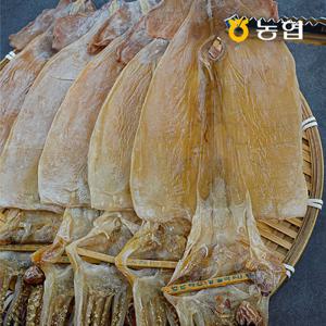 [자연맛남] 북강릉농협 동해안 마른오징어 5미(1미당75g내외)