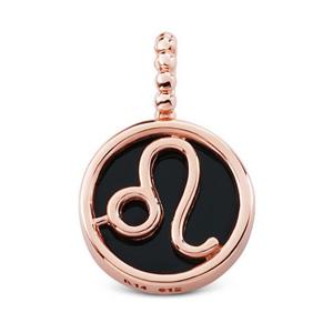 [비앤비골드] 14K 사자자리 오닉스 별자리 원형 펜던트 NPP34448