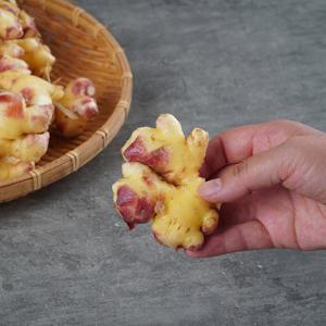 즙용 세척생강 10kg