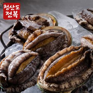 [실속용] 청산도 전복  1kg( 14-15미)