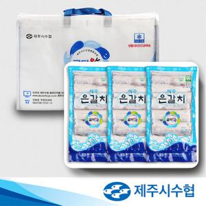[제주시수협] 제주 명품은갈치 3호 선물세트 (500g(대) x 4팩)