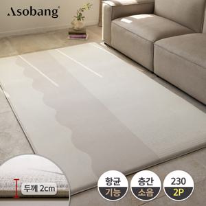 [아소방] 2P 프라임 놀이방매트 라인웨이브 230 (230x140x2cm)
