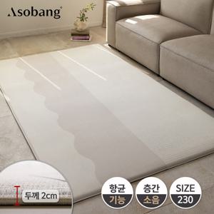 [아소방] 프라임 놀이방매트 라인웨이브 230 (230x140x2cm)