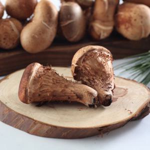 산아래 국내산 무농약 참송이 버섯(가정용) 1kg