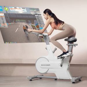 엑사이더 리얼 스피닝 실내 자전거 즈위프트 ES370 헬스 사이클