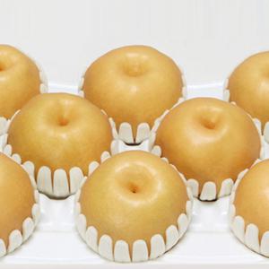 황금열매 전남 나주 정품배 15kg 선물용 중대과 (26-30과)