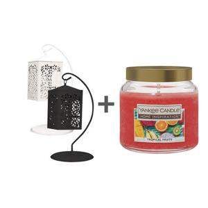 양키캔들 HI밸류 미듐자+전용 스탠드+스크롤 워머 세트