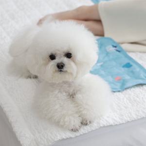 마이또 강아지 쿨매트 러브시리즈 미니 40x25cm 고양이