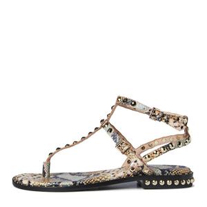 [공식] ASH(아쉬)PAROS PYTHON 파로스 파이톤 (AE2D01509/PN)