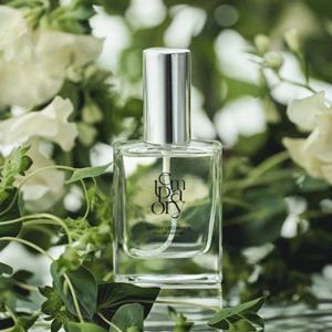 템포러리 우디 앤 우디 큐컴버 오드 퍼퓸 50ml 니치향수