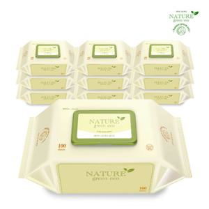 네이처그린에코 클래식 엠보싱 물티슈 캡형 100매 X 10팩