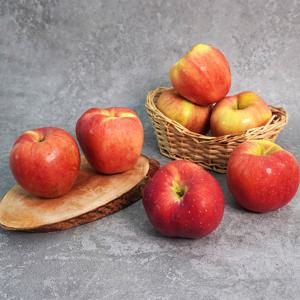 [미식한가] 아리수 사과 가정용 2kg 14-16과