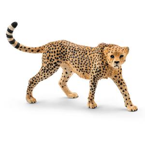 [슐라이히] 암컷 치타