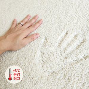 하티 온열 온감 러그 거실카페트 대형 특대형 200x300cm