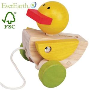 에버어쓰 (EverEarth) 얄미운오리