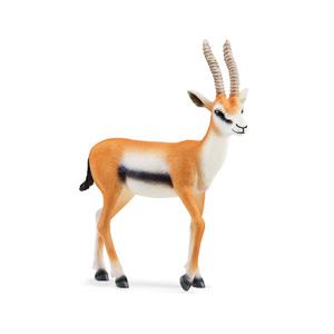 [슐라이히] 톰슨가젤