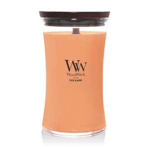 [우드윅]라지캔들 유주 블룸스