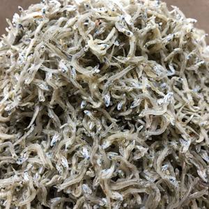 알뜰형 지리멸치 1.5kg 무료배송 세멸치 볶음멸치 멸치