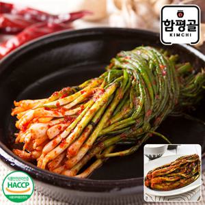 [함평골김치] 감칠맛이 풍부한 전라도 파김치1kg+여수갓김치1kg