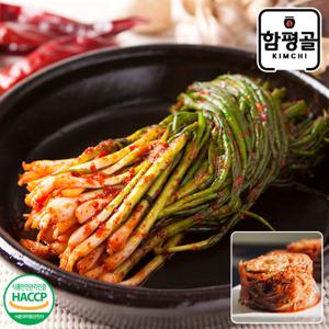 [함평골김치] 감칠맛이 풍부한 전라도 파김치1kg+보쌈김치1kg