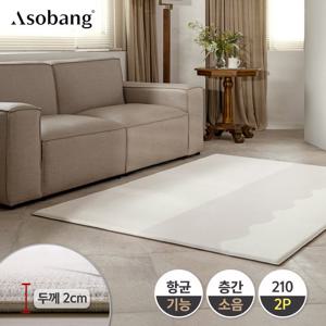 [아소방] 2P 프라임 놀이방매트 라인웨이브 210
