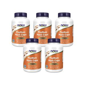 5개X  나우푸드    실리엄  허스크  차전자피  500mg  200캡슐