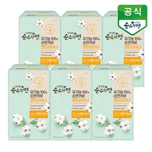 건강한 순수한면 생리대 팬티라이너 40P x 6팩