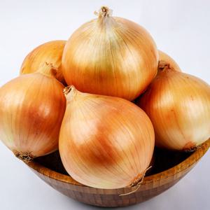 25년수확 국내산 햇 양파 5kg 특