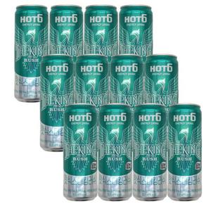 롯데칠성 에너지 드링크 핫식스 더킹러쉬 355ml 12캔