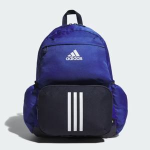 아디다스 키즈 투인원 백팩 IM5266