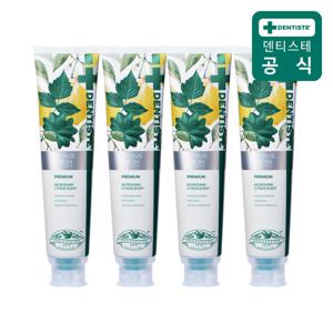 덴티스테 시트러스 후레쉬 치약 200g 4개
