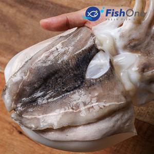 [피시원] 이력추적 국산 손질 갑오징어(중) 2kg(8-10미)냉동