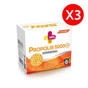 SPH 프로폴리스 5000mg 180정 x3