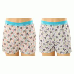 솔브 SMT6106T 트렁크