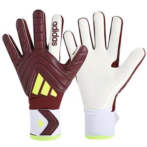 [정품] 아디다스 코파 GL 리그 골키퍼장갑 (IQ4012)