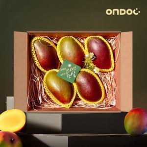 [온도씨]프리미엄 애플망고 안다미로 포장세트 3-6과 총2kg내외