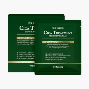 웰더마 프리미엄 시카 트리트먼트 리페어 피팅 마스크 팩 4매