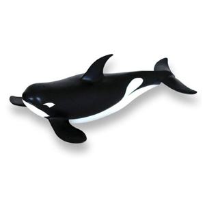 반디 동물학습 반디 동물모형 범고래