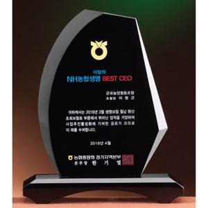 크리스탈 상패 GM0606 표창패 감사패 공로패 위촉패