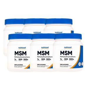 6개X  뉴트리코스트  퓨어  MSM  파우더  500g