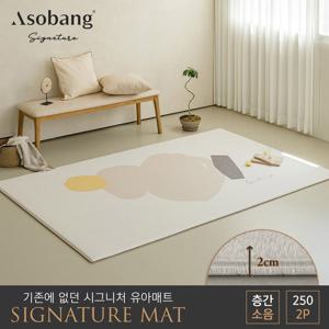 [아소방]2P시그니처 유아놀이방매트 소이스트250 (250x150x2cm)