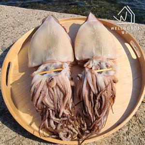 [웰굿] 쫄깃한 반건조 오징어 10미(1.7kg내외,특대,원양산)