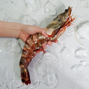 [물맛남] 자연산 킹타이거새우 1kg 3미 특특대