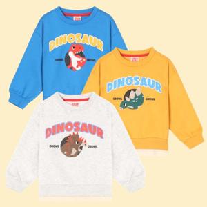 [코코리따]그래픽 기모 스웨트티셔츠CEMA24TE1