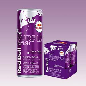 레드불 퍼플 에디션 250ml x 6캔 에너지음료