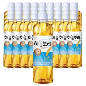 웅진 하늘보리 500ml 40개