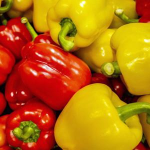 [블루밍그린] 국내산 빨강 노랑 혼합 파프리카 (가정용) 2kg